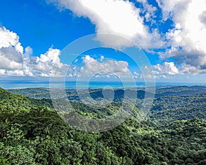 Beautiful View of El Yunque National Rainforest