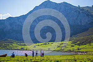 Beautiful view of Ercina Lake in Covadonga Lakes, Asturias, Spain. Green grassland with people enjoying and mountains at the