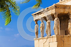 Beautiful view of Erechtheion with palm in Athens