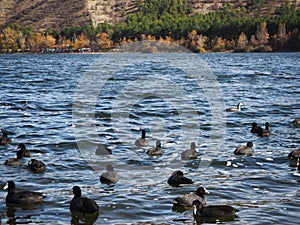 Beautiful view of Eymir lake. Hills and calm forest. Eymir Lake, Ankara, Turkey