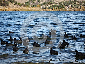 Beautiful view of Eymir lake. Hills and calm forest. Eymir Lake, Ankara, Turkey