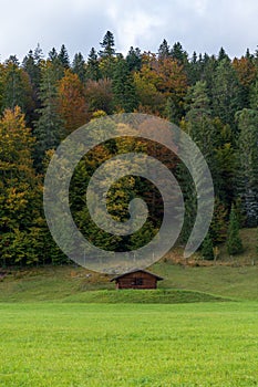 Beautiful view of fall foliage trees in the field