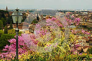 A beautiful view of the famous Ponte Vecchio in Florence on river Arno in Italy, taken from Piazzale Michelangelo on a spring day