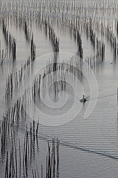 Beautiful view of the fishing boat in the ocean during daytime in Xia Pu, China