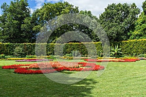 Beautiful view of flowers and trees in Terra Nostra Park, Furnas, Sao Miguel, Azores, Portugal