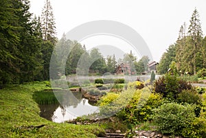 Beautiful view of the forest lake. Transcarpathia.