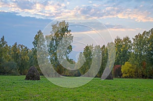 Beautiful view of the forest meadow autumn evening haymaking. Rural landscape autumn colors