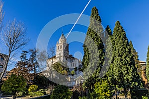 Beautiful view of a garden trees, shrubs and green plants with a church in the background