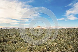 Beautiful view of the Gebel al-Mawta and the city in Siwa Oasis