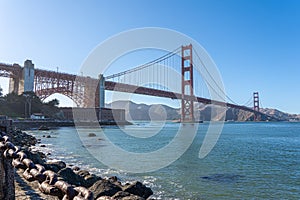 Beautiful view of Golden Gate bridge from Presidio photo