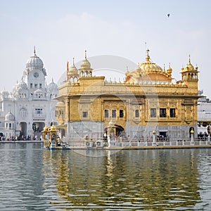 Beautiful view of Golden Temple (Harmandir Sahib) in Amritsar, Punjab, India, Famous indian sikh landmark, Golden Temple