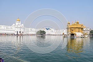 Beautiful view of Golden Temple (Harmandir Sahib) in Amritsar, Punjab, India, Famous indian sikh landmark, Golden Temple