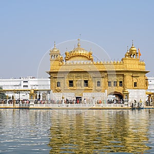 Beautiful view of Golden Temple (Harmandir Sahib) in Amritsar, Punjab, India, Famous indian sikh landmark, Golden Temple
