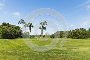 Beautiful view of golf field and green trees on blue sky background. Tropical natural landscape backgrounds.