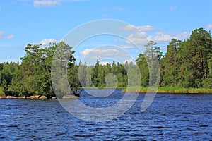 Beautiful view of gorgeous nature landscape. Blue lake water and green forest on blue sky background. Sweden.