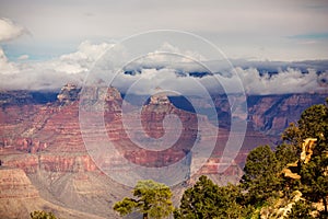 Beautiful view of Grang Canyon National park photo
