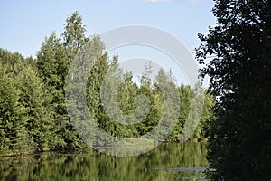 The beautiful view of the green banks of small forest river.