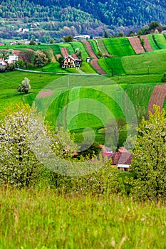 Beautiful view of a green field in Hrinovske Lazy of Slovakia with rural houses