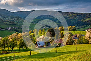 Beautiful view of a green field in Hrinovske Lazy of Slovakia in the time of sunset