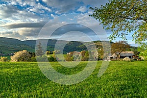 Beautiful view of a green field in Hrinovske Lazy of Slovakia under cloudy sky