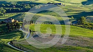 Beautiful view of green fields and meadows at sunset in Tuscany