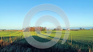 Beautiful view of green fields with wheat, trees and houses on the horizon from the window of a fast moving car on the passenger