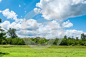 Beautiful view at green grass and dramatic blue sky with clouds