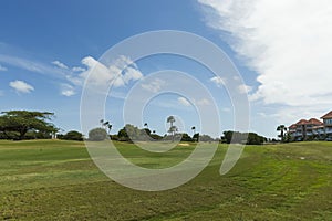 Beautiful view of green grass field and green trees on blue sky background. Tropical natural lanscape backgrounds