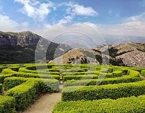 Beautiful view of green hedge maze and mountain landscape on sunny day