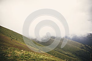 Beautiful view of green hills in Carpathian mountains. Landscape of foggy misty mountains under clouds. Travel and explore concept