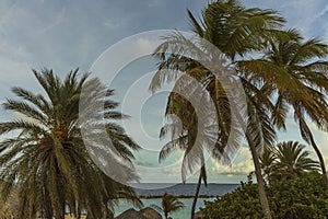 Beautiful view of green palm trees and sea on blue sky with white clouds background. Curacao island.