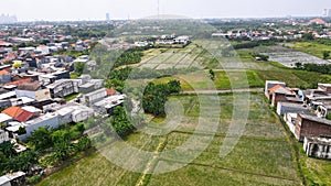 a beautiful view of green rice fields in surabaya seen from a high angle 5