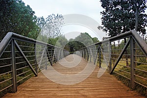 Beautiful view with green way and wooden bridge which close hometown