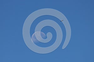 Beautiful view of a half moon during a daytime with a flying bird against a blue sky