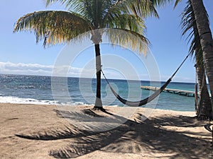 Beautiful view of a hammock between palm trees in the beach in Utila, Honduras