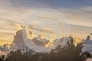 Beautiful view of hazy blue sky with white clouds during sunrise over Atlantic Ocean with palm trees in background. Miami Beach.