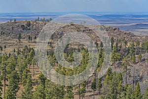 Beautiful view of the high altitude in Apache Sitgreaves National Forest on the White Mountains, Arizona