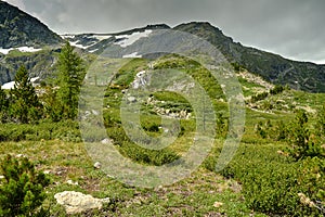 beautiful view of high-mountain peaks covered with snow. Green alpine meadows against the backdrop of snow-capped mountain peaks