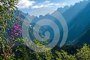 Beautiful view of the High Tatra Mountains in northern Slovakia.