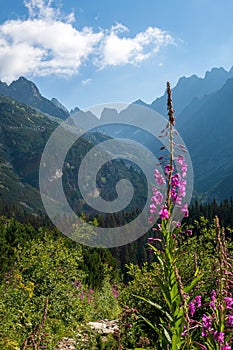 Beautiful view of the High Tatra Mountains in northern Slovakia.