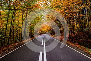 Beautiful view of a highway with fall foliage trees around