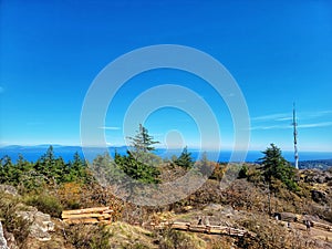 Beautiful view of a hiking trail captured on a sunny day