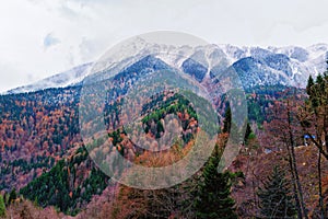 Beautiful view of the hills covered with colorful autumn trees