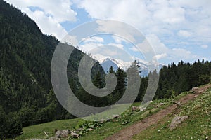 Beautiful view of Himalayan mountains, Kasol, Parvati valley, Himachal Pradesh, India. Plant