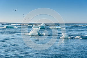 View of icebergs in glacier lagoon, Iceland, global warming concept