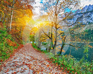 Beautiful view of idyllic colorful autumn scenery in Gosausee la