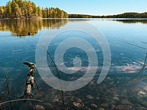 Clear lake landscape in Finland photo