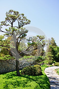 Beautiful view of Japanese Garden