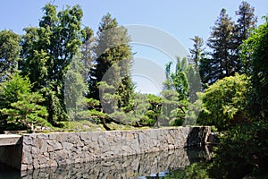 Beautiful view of Japanese Garden