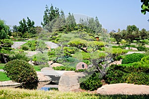 Beautiful view of Japanese Garden